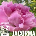 Якорма – Джакорма